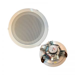 Mua Loa âm trần APlus A-B04 | Nhập Khẩu 100%, Giá Tốt Uy Tín