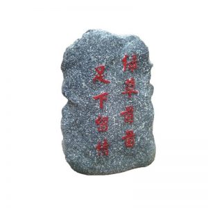 Mua Loa giả đá sân vườn APlus T501Y Loa sân vườn chính hãng 100%