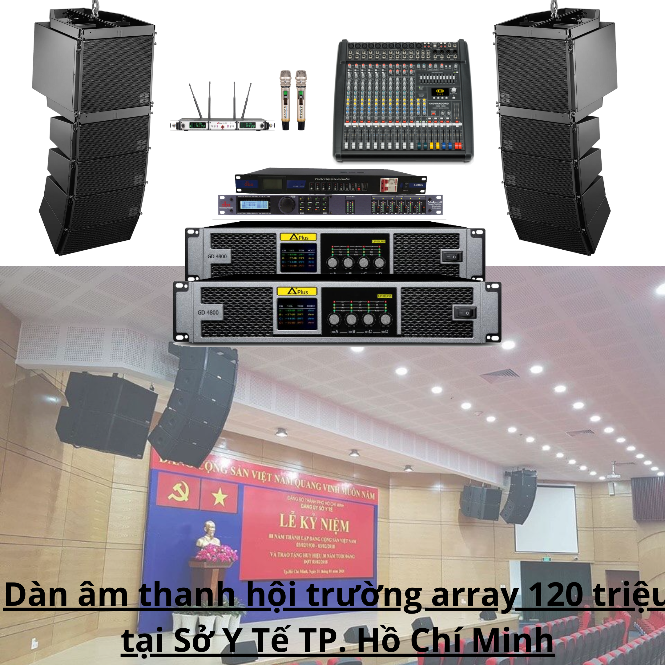Dàn âm thanh hội trường array 120 triệu tại Sở Y Tế TP. Hồ Chí Minh