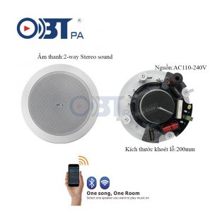 Loa âm trần Wifi OBT WF2