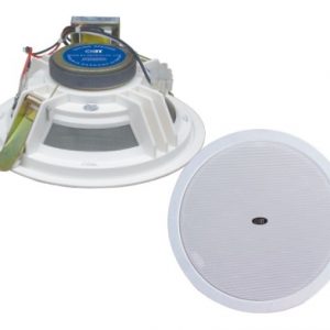 Loa gắn trần OBT-605