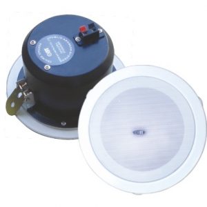 Loa gắn trần OBT-810T