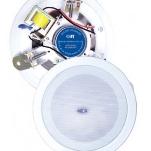 Loa gắn trần OBT-818