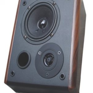 Loa hộp 10W OBT-678