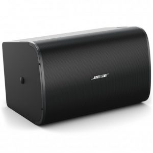 Loa treo tường Bose DesignMax DM10S-SUB