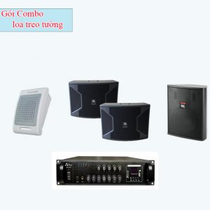 Combo loa treo tường cho quán cafe giá rẻ