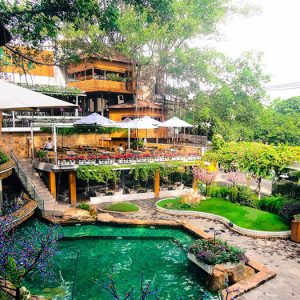 Lắp đặt âm thanh cho quán cafe sân vườn cần những gì?