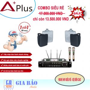 Lắp Đặt Âm Thanh Phòng Học, Lớp Học Diện Tích 80-100m2