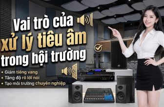 Vai Trò Xử Lý Tiêu Âm Trong Âm Thanh Hội Trường