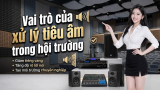 Vai Trò Của Xử Lý Tiêu Âm Trong Âm Thanh Hội Trường
